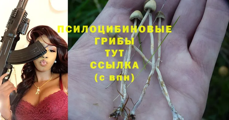 Галлюциногенные грибы Psilocybine cubensis  ссылка на мегу зеркало  Нижнеудинск 